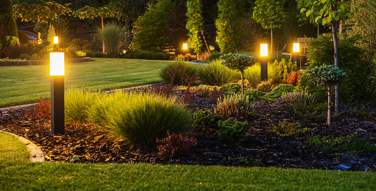 Landscaping backyard at night with lights Landscaping backyard at night with lights
