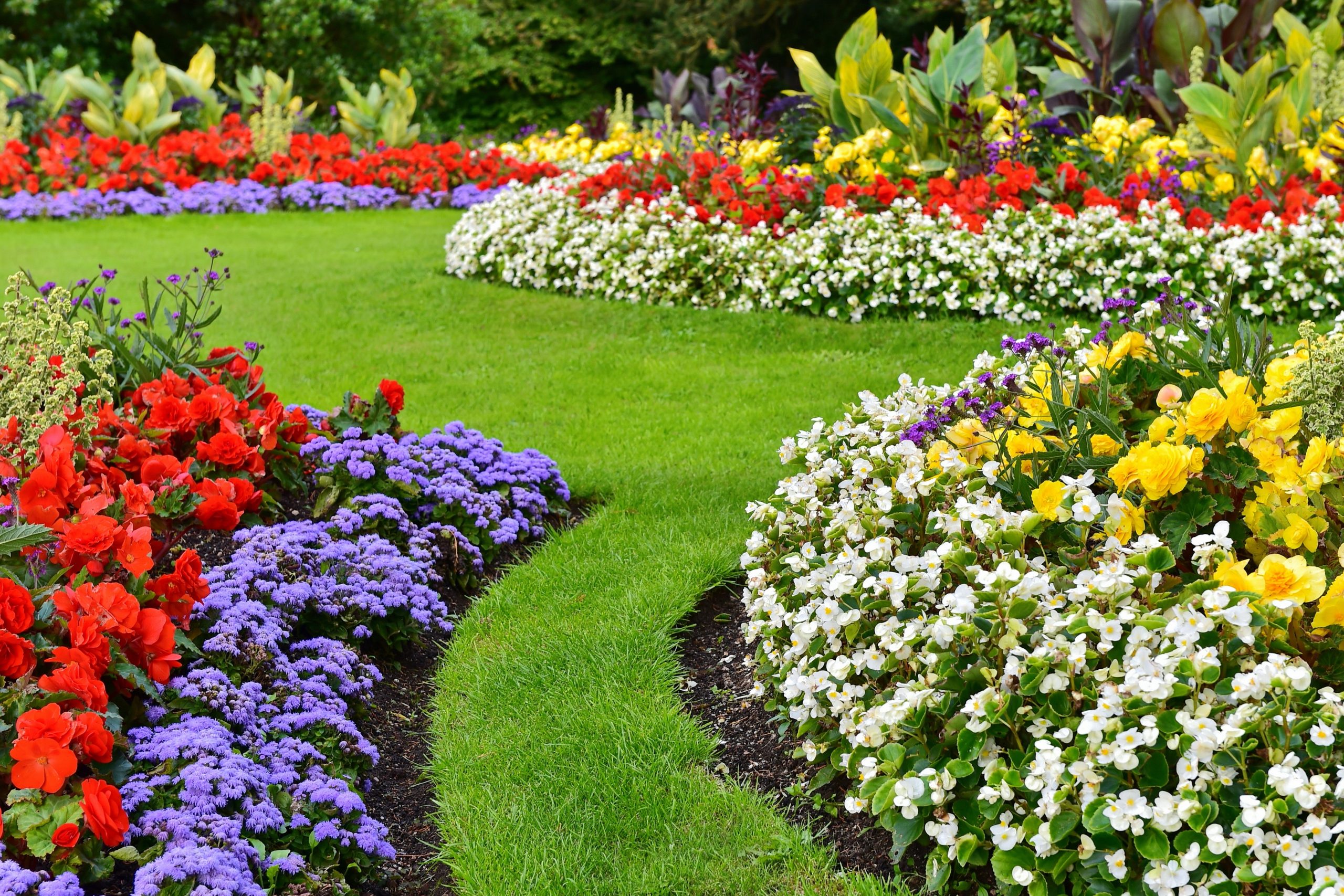 Landscaping image from backyard Landscaping image from backyard